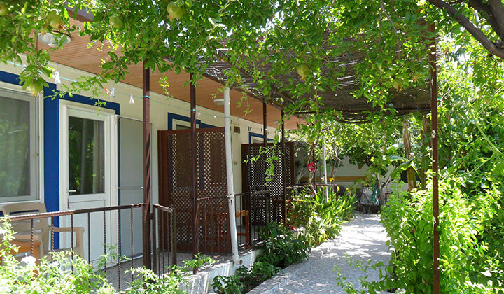 Bodrum’da Doğallığın ve Konforun Yeni Adresi: Mazi Çiçek Pansiyon