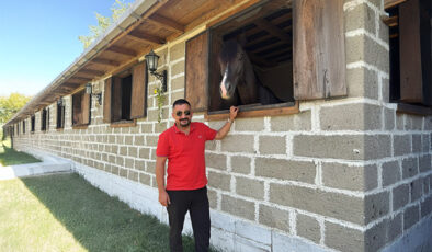 Seyfi Sarıoğlu Kimdir