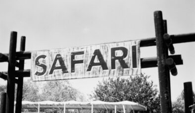 Marmaris’te Eşsiz Bir Deneyim: At Safari