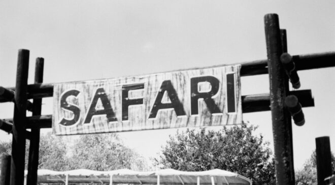 Marmaris’te Eşsiz Bir Deneyim: At Safari